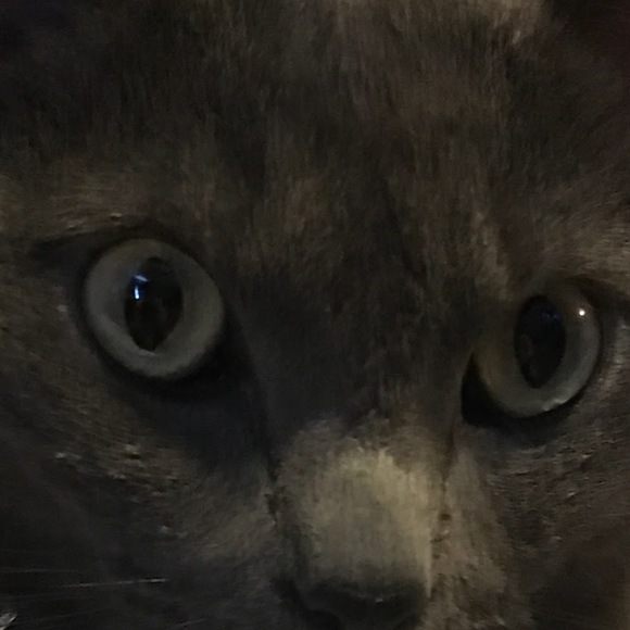 Meet your Posher, Bryan - Picture 1 of 1